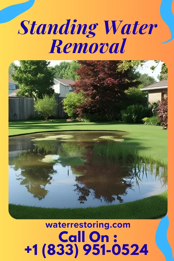 Standing Water Removal in Carpio, ND